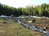 03 Dintorni della baita